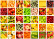 Collage of many fruits and vegetables Collage of many fruits and vegetables
