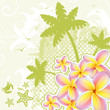 Vector: Summer background Summer background