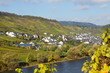 Reil an der Mosel