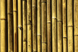 Bamboo background Bamboo background