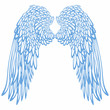 Pair of wings Pair of wings