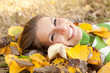 herbstfreude