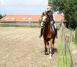 Foto: frau mit pferd frau mit pferd