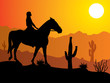 woman on the horse in desert woman on the horse in desert