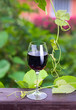 red wine.