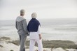 Rear view of a senior couple looking at the sea