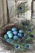 Osternest mit Pfauenfedern