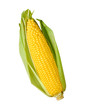 Ear of Corn isolated