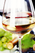 Glasses of white, red and rose wine and grapes