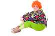 costume Carlson, holiday clown