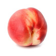 nectarine isolated