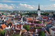 Old Tallinn panorama