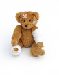 injured bear