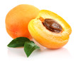 Foto: apricot fruits with green apricot fruits with green