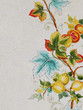fiore dipinto su ceramica