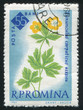 poststamp flower
