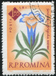poststamp flower