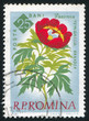 poststamp flower