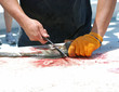 Sea Bass Fillet