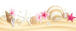 Seashell header