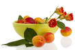 Apricots in greel bowl