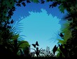 tropical forest background tropical forest background