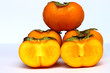 Persimmon Persimmon