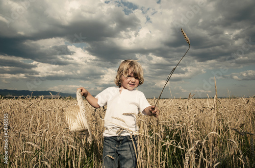 Photo: Where bread comes Where bread comes