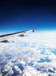 wing_2