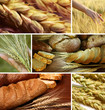 Cereal collage