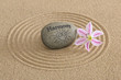 Zen Garten