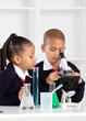 Photo: elementary school students in science lab elementary school students in science lab