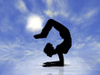 Yoga - Asana Vrikshasana - Silhouette - day