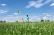 father with son in summer with kite