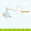 Baby arrival card with stork that brings a cute boy