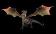 Red dragon