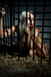 bondage art style with beautiful nude slave girl locked in cage