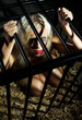 bondage art style with beautiful nude slave girl locked in cage
