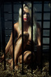 bondage art style with beautiful nude slave girl locked in cage