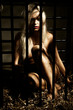 bondage art style with beautiful nude slave girl locked in cage