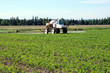Foto: Full front view of tractor spraying pesticide on crop Full front view of tractor spraying pesticide on crop