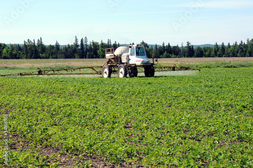 Photo: Full front view of tractor spraying pesticide on crop Full front view of tractor spraying pesticide on crop