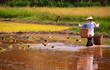 farmer