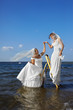 Photo: two brides on stepladder two brides on stepladder