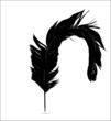 Feather Set
