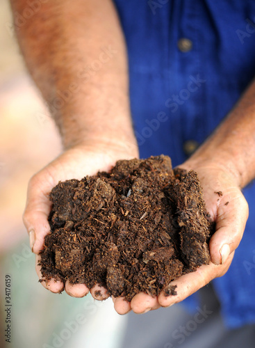 Foto: hands with soil hands with soil