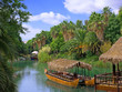 French Polynesia, walking canoe on the river