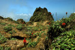 La soufrière