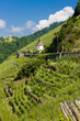 grand cru vineyard and Chapel of St. Urban,Thann, Alsace,France