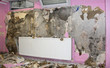 water damaged and moldy ruin old